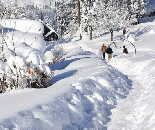 Custom Kashmir Tour Packages